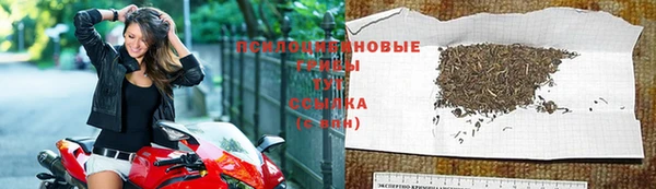 дмт Волоколамск