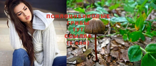 стафф Володарск