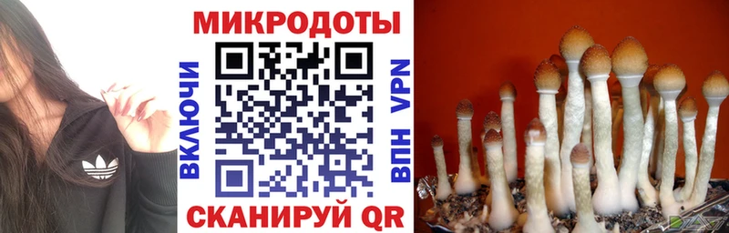 Купить  Георгиевск  Галлюциногенные грибы мицелий 